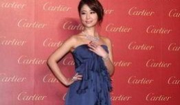 林心如爆料分手原因视频,揭秘与霍建华分手背后原因